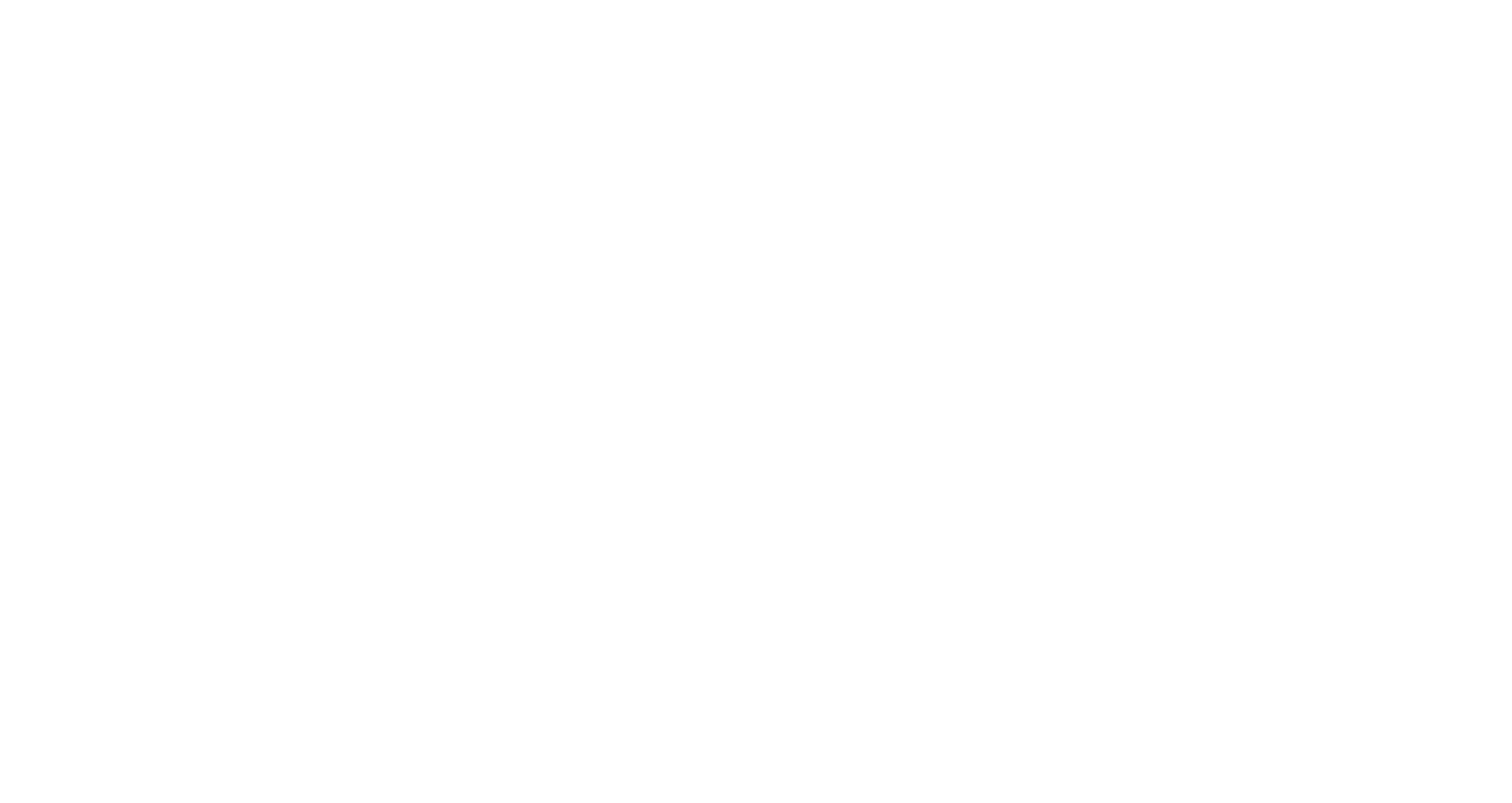 WebSavvy